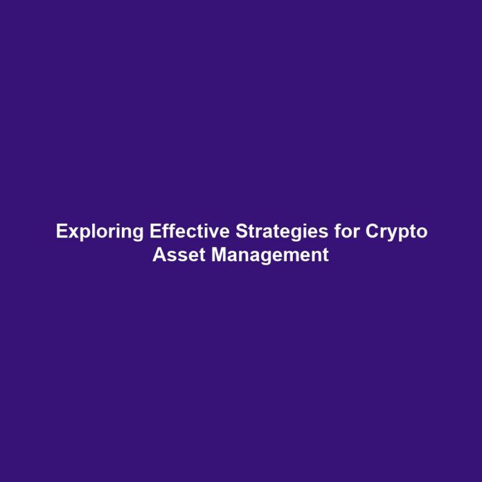 Exploring Effective Strategies for Crypto Asset Management